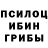 Галлюциногенные грибы GOLDEN TEACHER snap snap