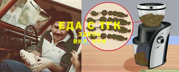 индика Арсеньев