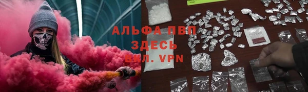 индика Арсеньев
