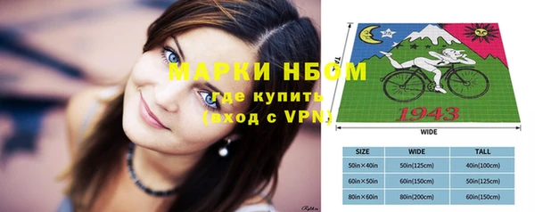 СК Осинники