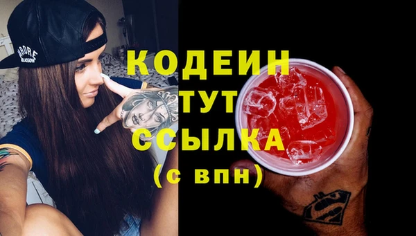 молекула духа Сосновый Бор